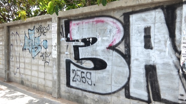 graffiti_june_wall-5